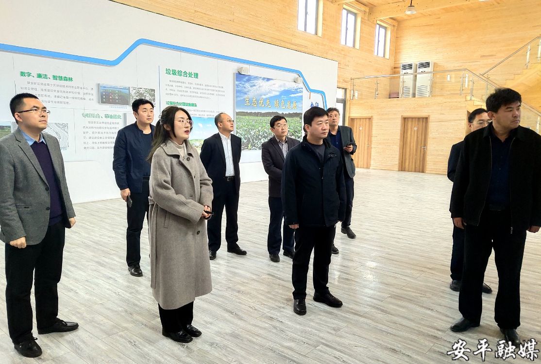安平县政府县长曹向东调研省道s333建设工作