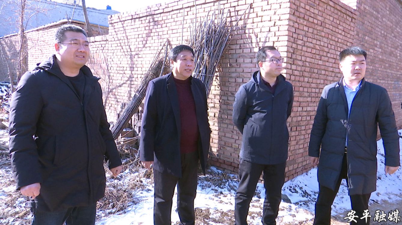 安平县领导调研指导行洪区村庄搬迁复垦工作