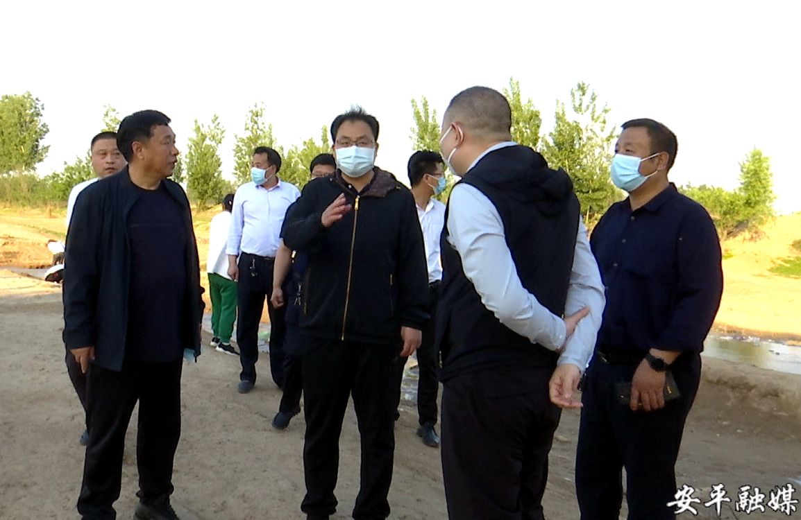 安平县长赵东钊调研滹沱河整治工作