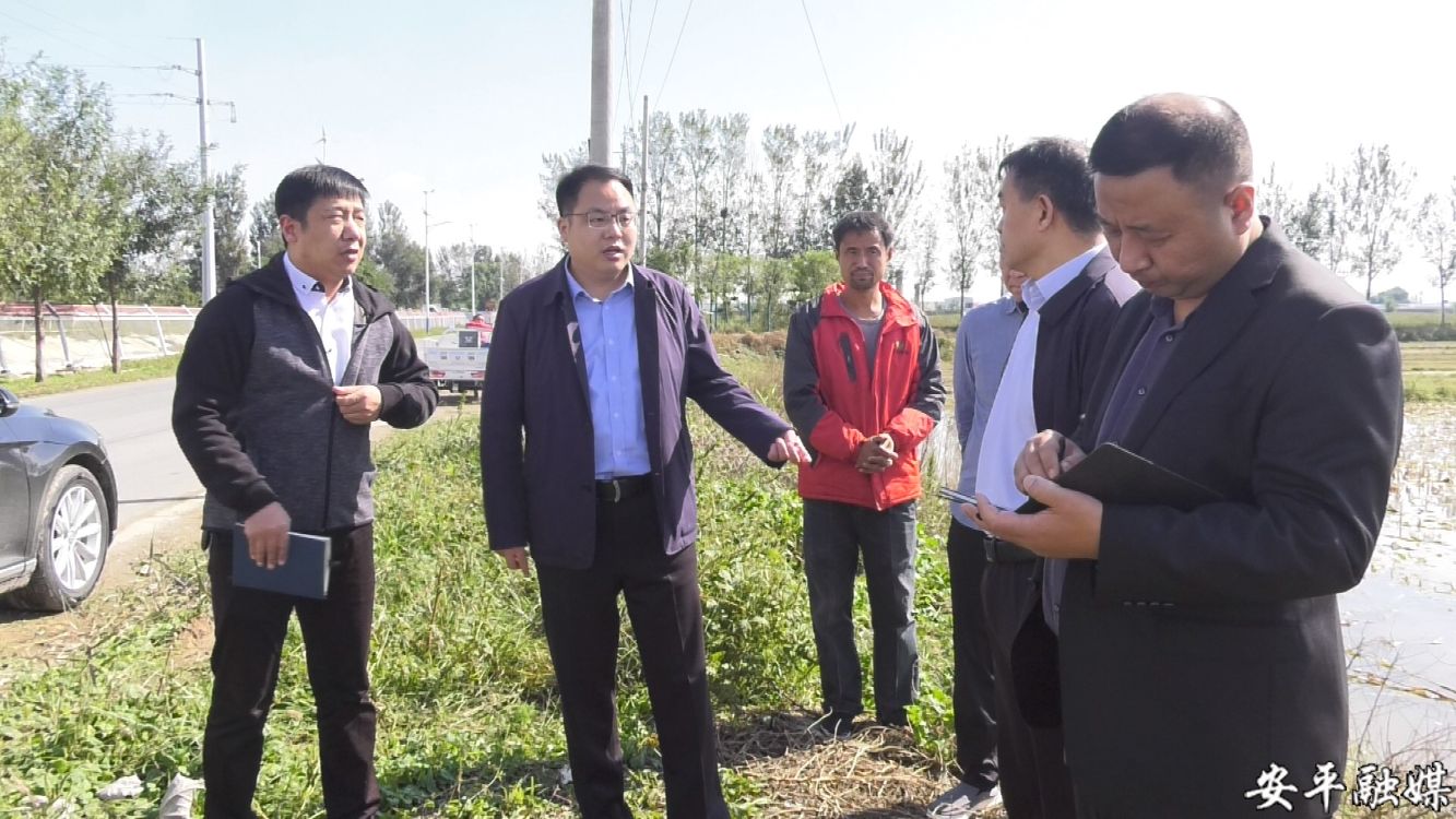 安平县长赵东钊调研秋收秋种工作并开展巡河-安平融