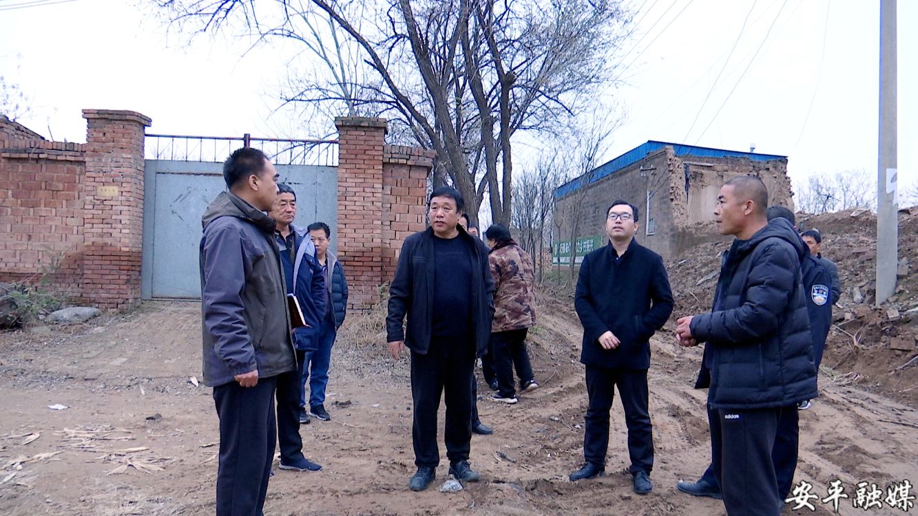 河北安平郑建栋图片